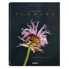 Boek A Tribute to Flowers