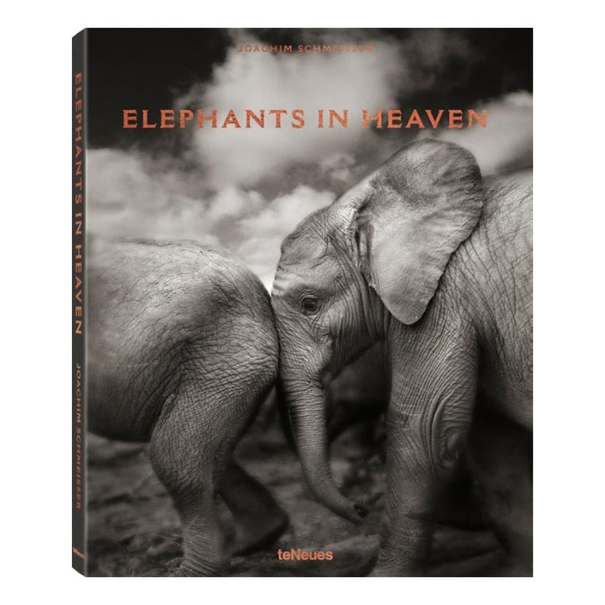 Boek Elephants in Heaven