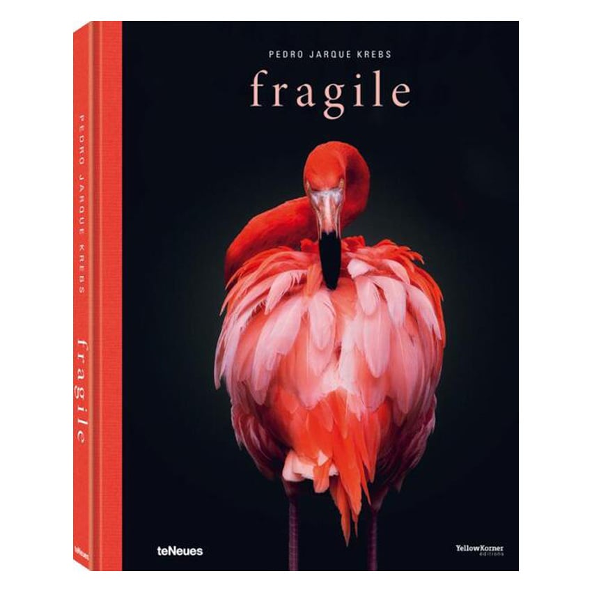 Boek Fragile L32 B25