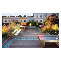 Boek Living Roofs, Urban Gardens Around The World