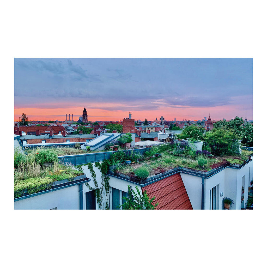 Boek Living Roofs, Urban Gardens Around The World