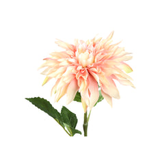 Dahlia Flower cream spray with leaves