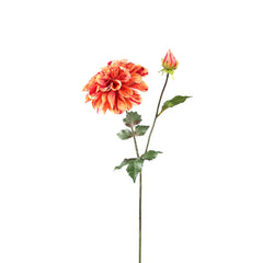 Dahlia Flower Orange spray with bud