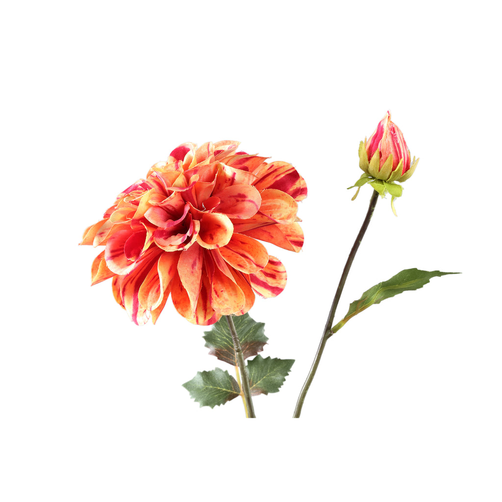 Dahlia Flower Orange spray with bud