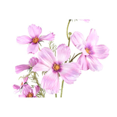 Garden Flower Light pink cosmos spray