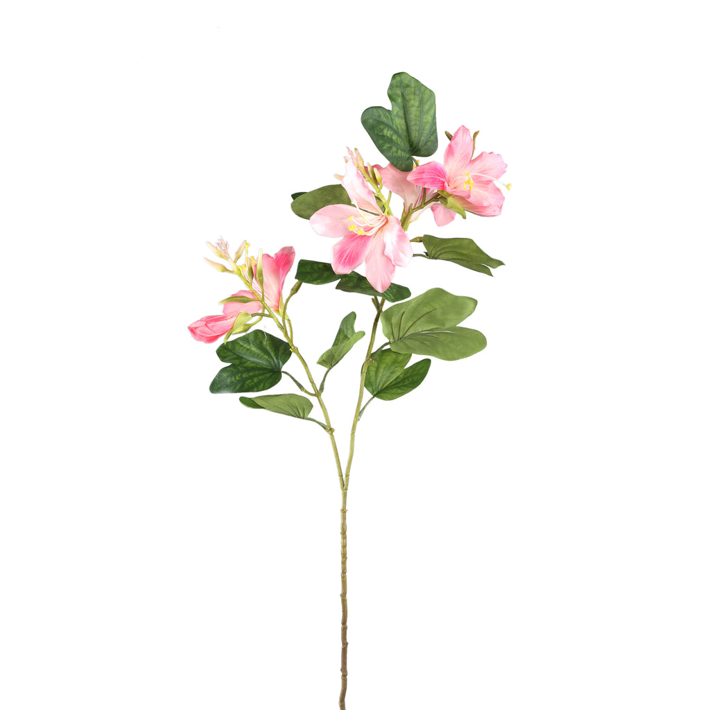 Garden Flower pink bauhinia spray with leaves