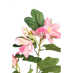 Garden Flower pink bauhinia spray with leaves