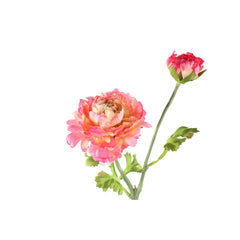 Garden Flower pink ranunculus spray with buds