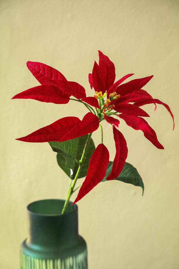 Garden Flower Red poinsettia spray w leaves