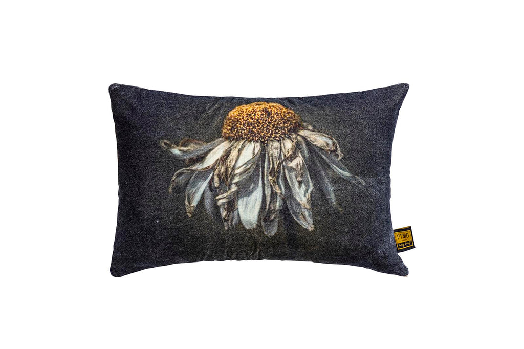 Hava Black cotton velvet cushion daisy flower L