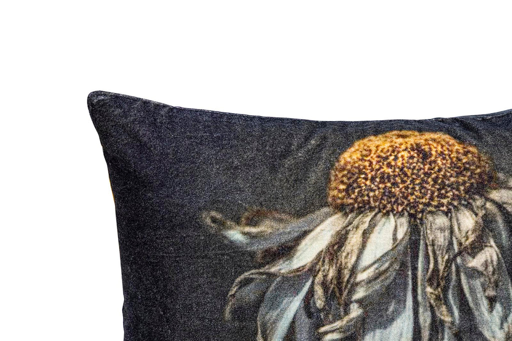 Hava Black cotton velvet cushion daisy flower L