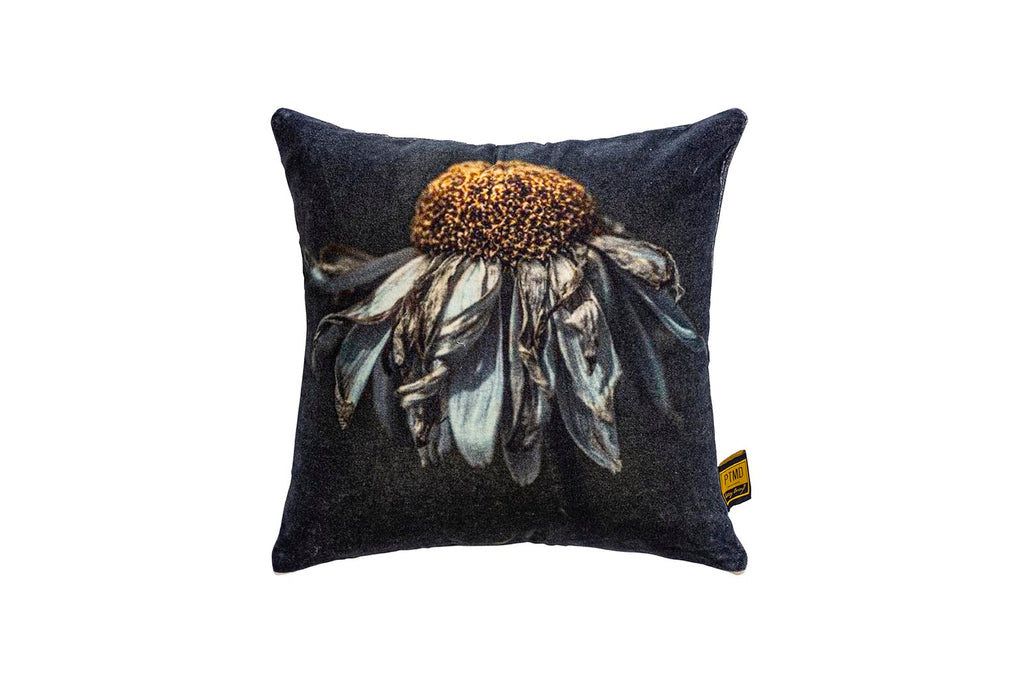 Hava Black cotton velvet cushion daisy flower S