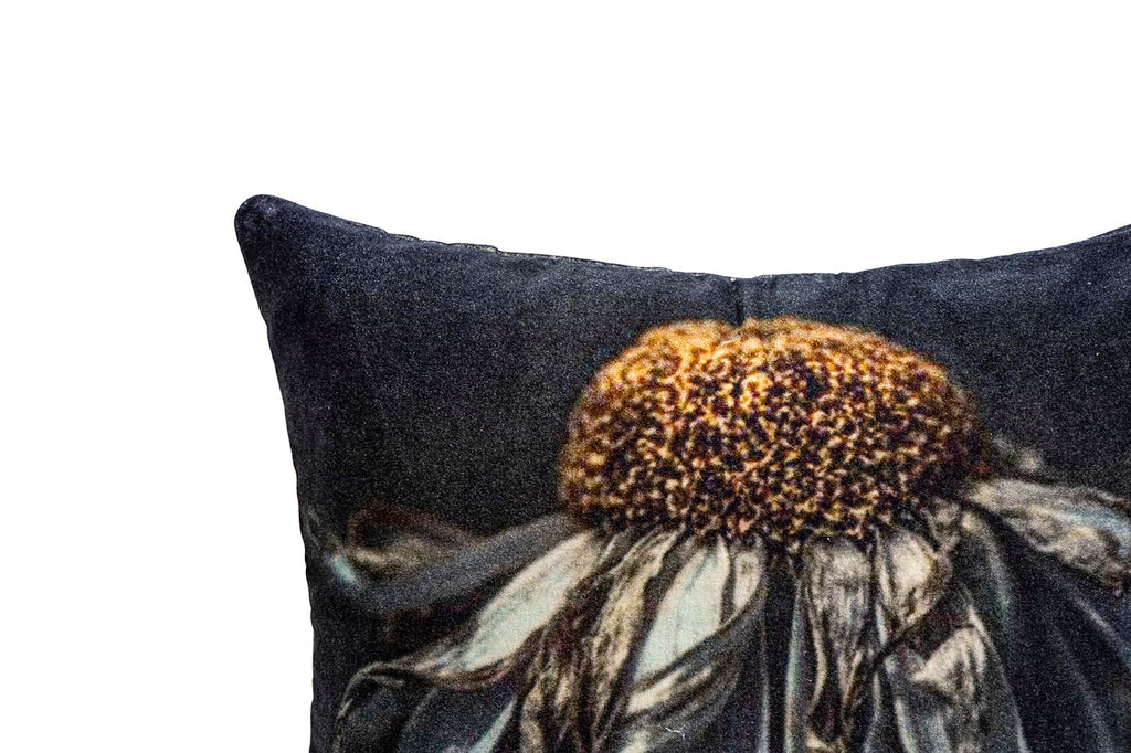 Hava Black cotton velvet cushion daisy flower S