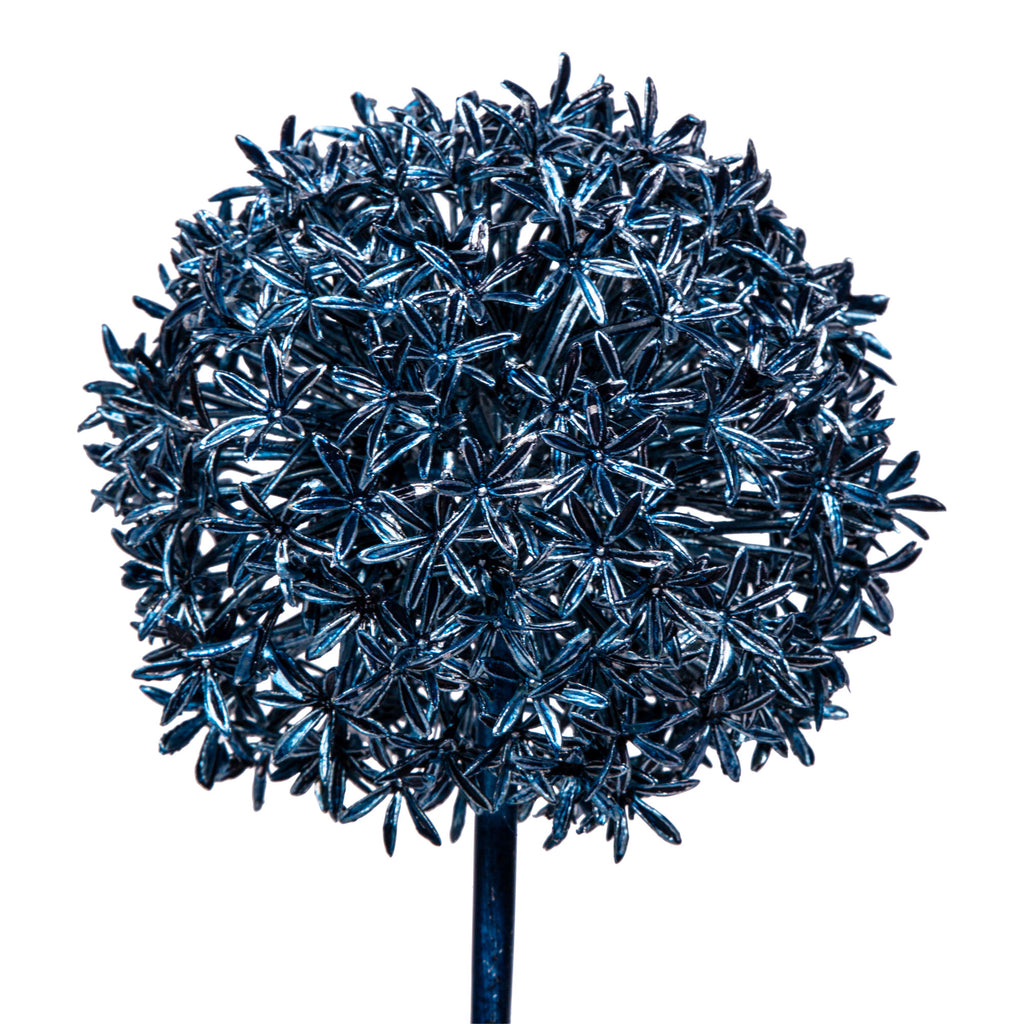 Leaves Plant metallic blue allium spray