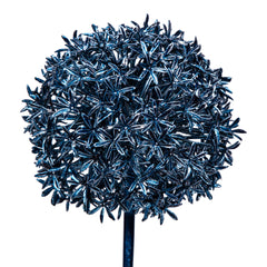 Leaves Plant metallic blue allium spray