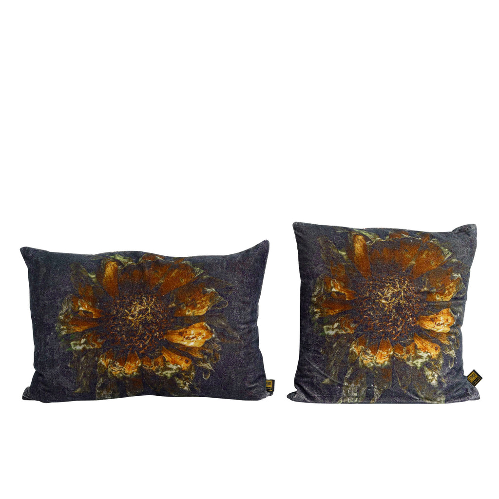 Meja Black velvet cushion flower print square