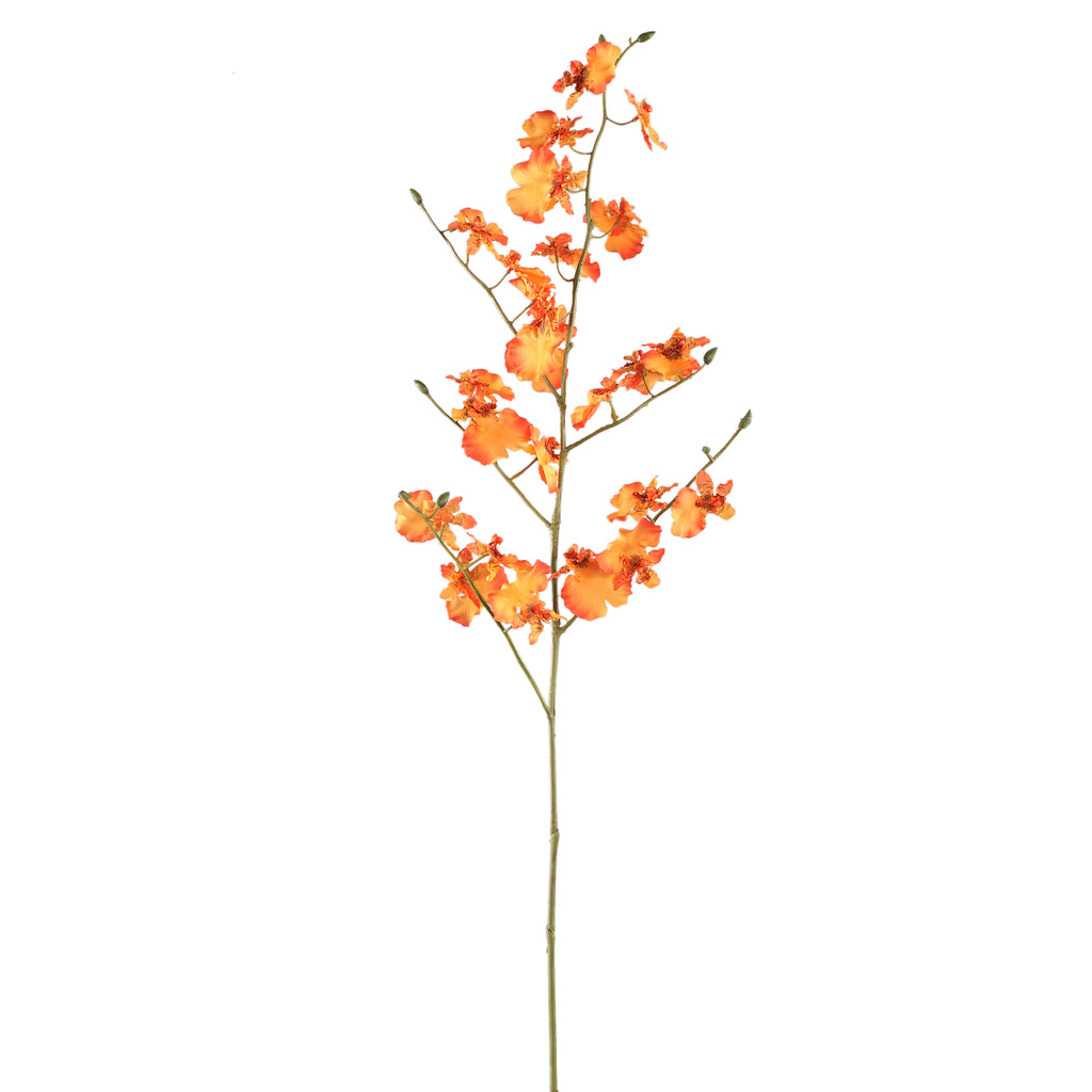 Orchid Flower orange dancing orchid spray