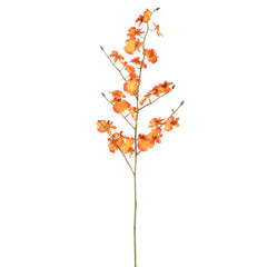 Orchid Flower orange dancing orchid spray