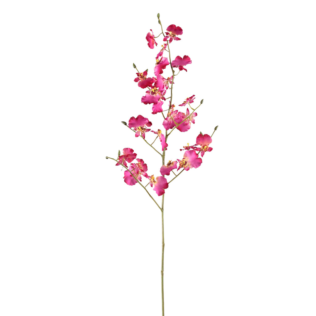 Orchid Flower pink dancing orchid spray