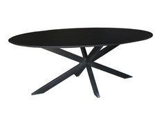 Oslo Black Oval 210 cm