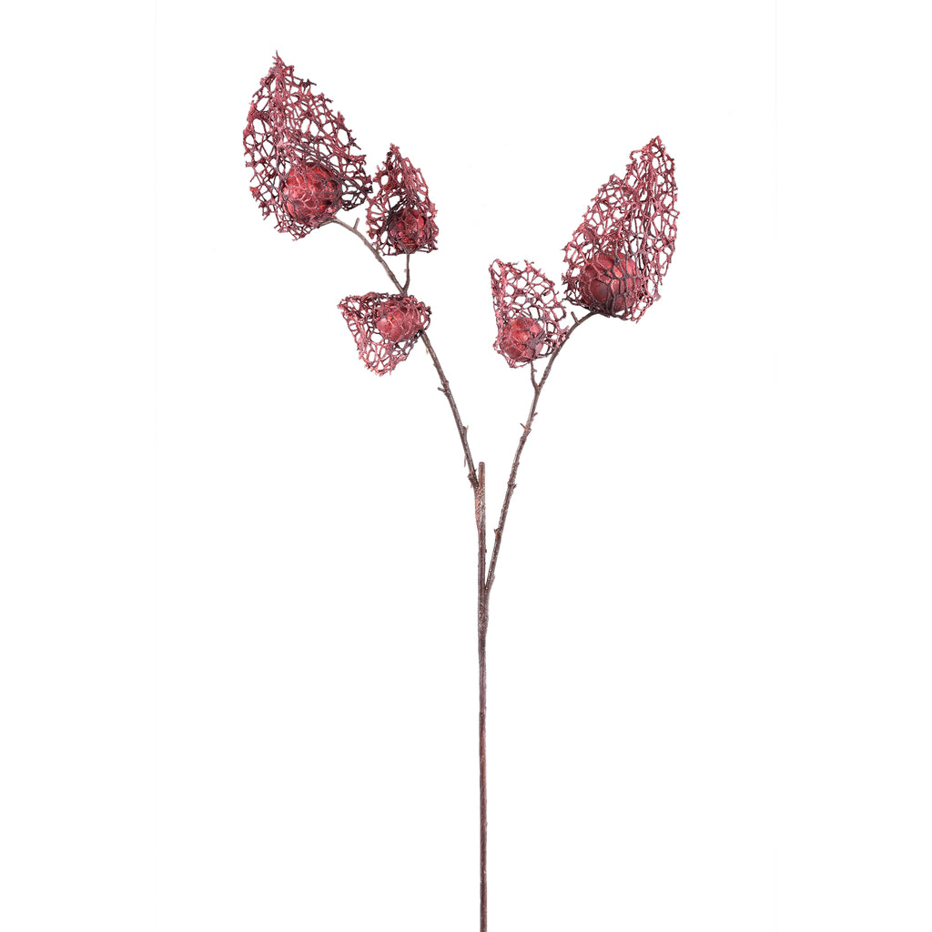 Twig Plant burgundy palace lantern flower spray