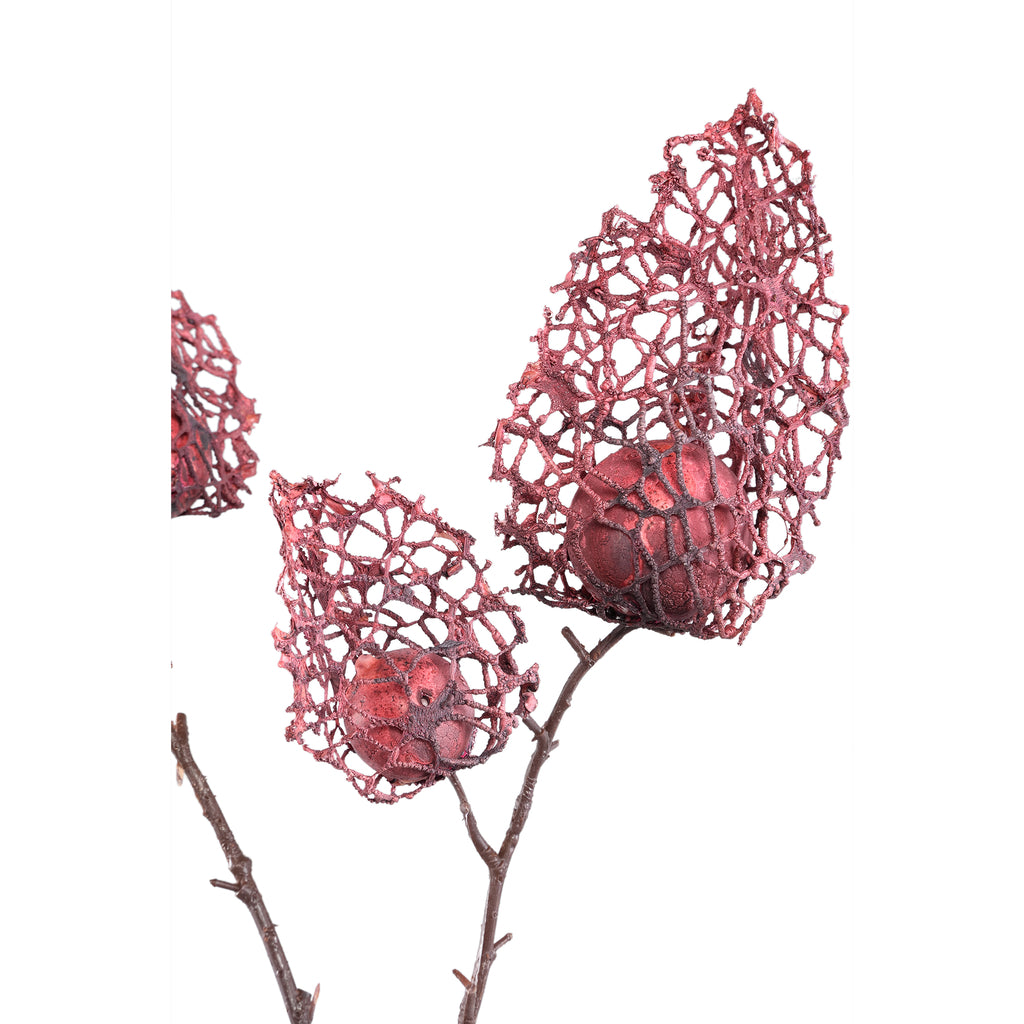 Twig Plant burgundy palace lantern flower spray