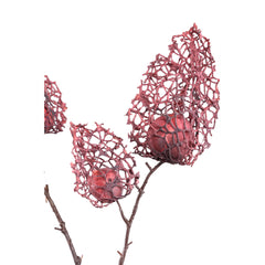 Twig Plant burgundy palace lantern flower spray